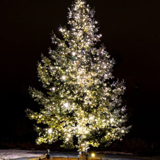 "Christmas Tree with White Lights" (2021) by K. Bradley Washburn