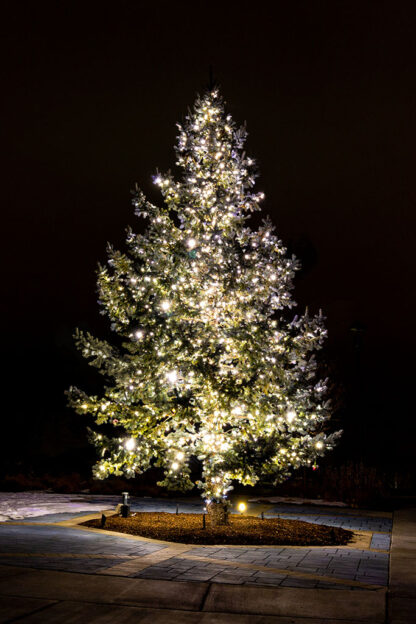 "Christmas Tree with White Lights" (2021) by K. Bradley Washburn